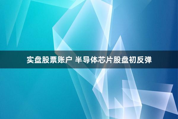 实盘股票账户 半导体芯片股盘初反弹