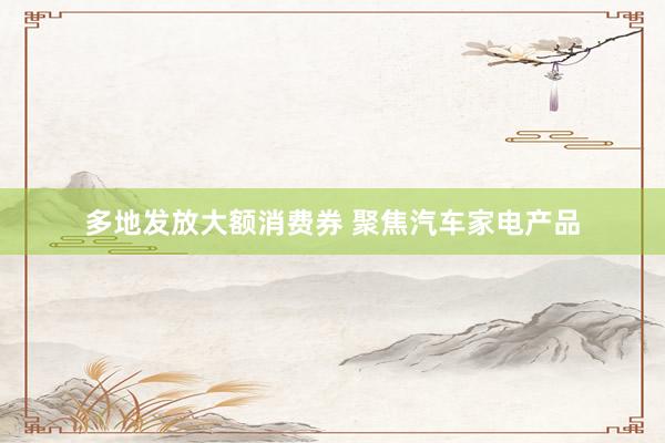 多地发放大额消费券 聚焦汽车家电产品