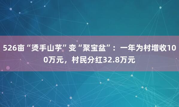 526亩“烫手山芋”变“聚宝盆”：一年为村增收100万元，村民分红32.8万元