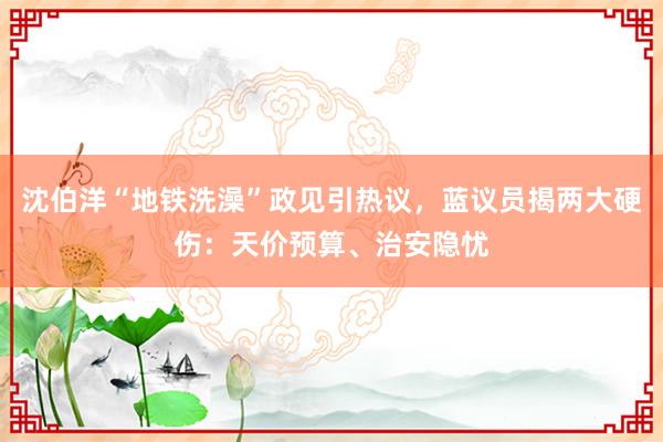 沈伯洋“地铁洗澡”政见引热议，蓝议员揭两大硬伤：天价预算、治安隐忧