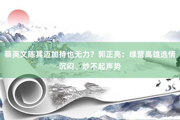 蔡英文陈其迈加持也无力？郭正亮：绿营高雄选情沉闷、炒不起声势
