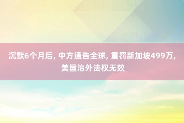 沉默6个月后, 中方通告全球, 重罚新加坡499万, 美国治外法权无效