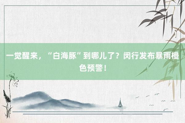 一觉醒来，“白海豚”到哪儿了？闵行发布暴雨橙色预警！
