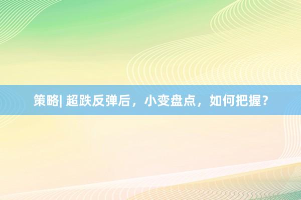 策略| 超跌反弹后，小变盘点，如何把握？