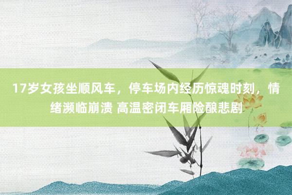 17岁女孩坐顺风车，停车场内经历惊魂时刻，情绪濒临崩溃 高温密闭车厢险酿悲剧