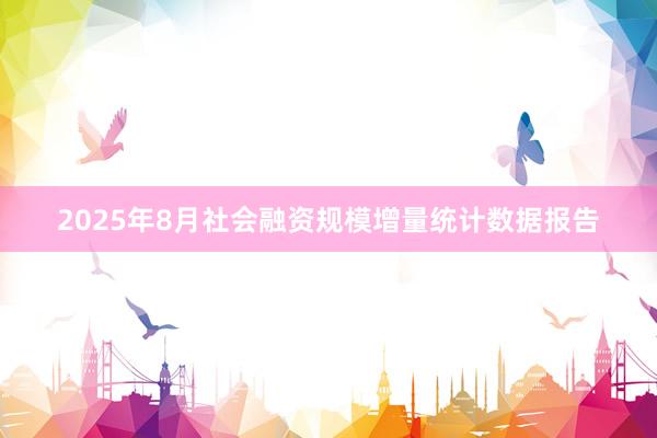 2025年8月社会融资规模增量统计数据报告