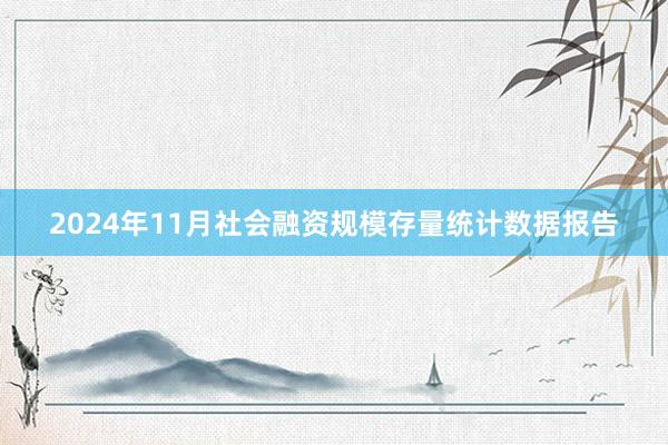 2024年11月社会融资规模存量统计数据报告
