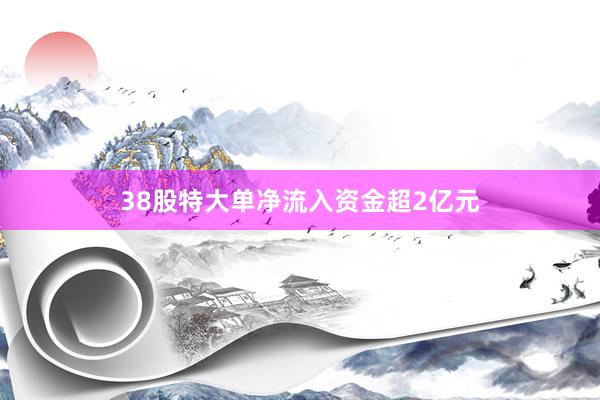 38股特大单净流入资金超2亿元