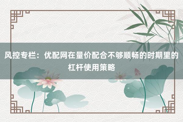 风控专栏：优配网在量价配合不够顺畅的时期里的杠杆使用策略