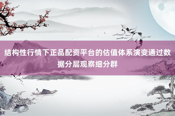 结构性行情下正品配资平台的估值体系演变通过数据分层观察细分群