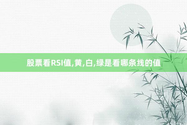 股票看RSI值,黄,白,绿是看哪条线的值