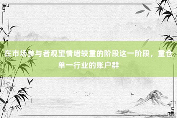 在市场参与者观望情绪较重的阶段这一阶段，重仓单一行业的账户群