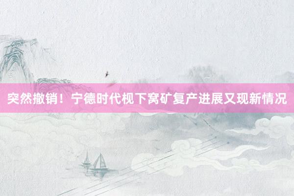 突然撤销！宁德时代枧下窝矿复产进展又现新情况