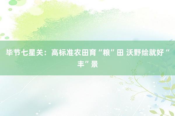 毕节七星关：高标准农田育“粮”田 沃野绘就好“丰”景