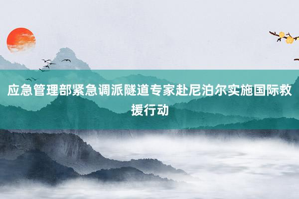 应急管理部紧急调派隧道专家赴尼泊尔实施国际救援行动