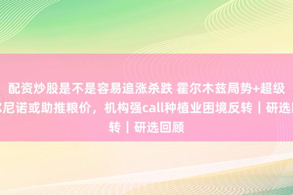 配资炒股是不是容易追涨杀跌 霍尔木兹局势+超级厄尔尼诺或助推粮价,机构强call种植业困境反转|研选回顾