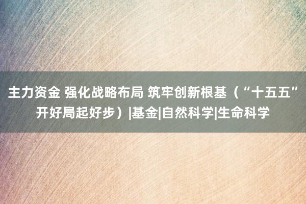 主力资金 强化战略布局 筑牢创新根基（“十五五”开好局起好步）|基金|自然科学|生命科学