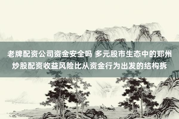 老牌配资公司资金安全吗 多元股市生态中的郑州炒股配资收益风险比从资金行为出发的结构拆