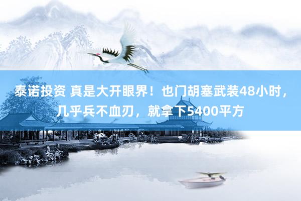 泰诺投资 真是大开眼界！也门胡塞武装48小时，几乎兵不血刃，就拿下5400平方