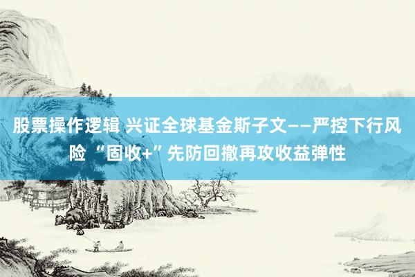 股票操作逻辑 兴证全球基金斯子文——严控下行风险 “固收+”先防回撤再攻收益弹性
