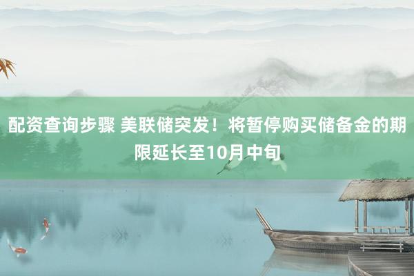 配资查询步骤 美联储突发!将暂停购买储备金的期限延长至10月中旬