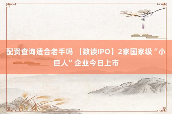 配资查询适合老手吗 【数读IPO】2家国家级“小巨人”企业今日上市