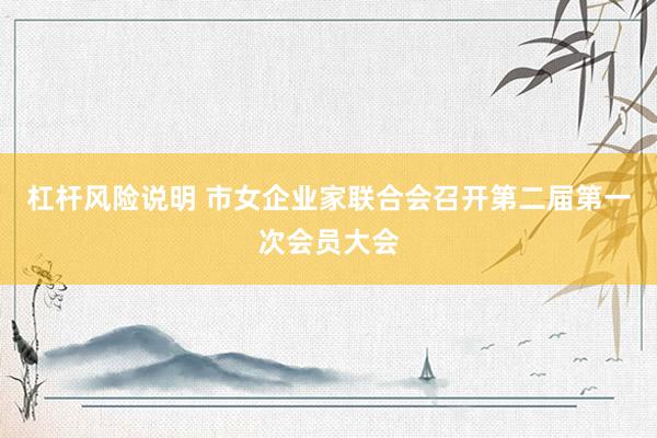 杠杆风险说明 市女企业家联合会召开第二届第一次会员大会
