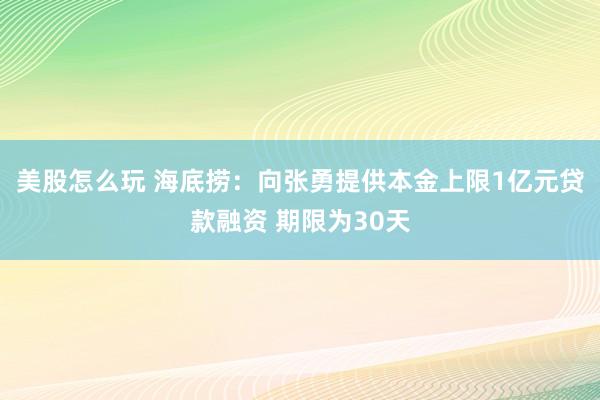 美股怎么玩 海底捞：向张勇提供本金上限1亿元贷款融资 期限为30天