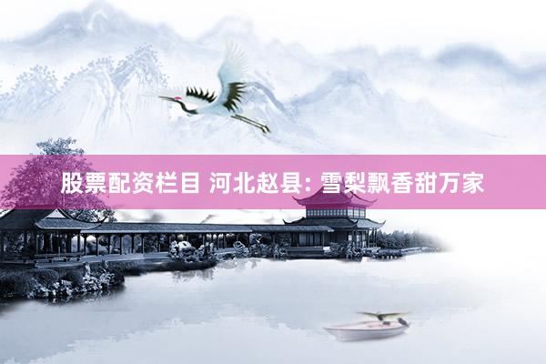 股票配资栏目 河北赵县: 雪梨飘香甜万家